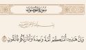 حرب المسلمين واحدة  وسلمهم واحد