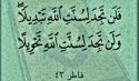 السنن لا تمنح البدائل لمن لا يعمل