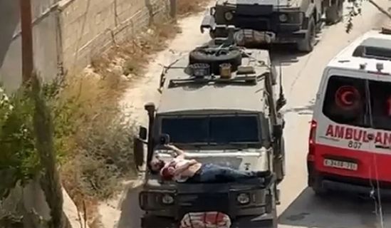 جيش يهود يمعن في قتل وإذلال أهل فلسطين  دون أن يحرك ذلك الأمة وجيوشها!!